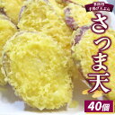 【ふるさと納税】業務用手揚げ天ぷら(さつま天)40個|レンジ調理 レンチン 冷凍食品 惣菜 おかず 天丼 簡単調理 時短