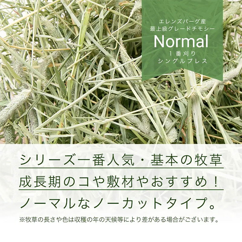 【ふるさと納税】令和5年産 スーパープレミアムホースチモシーチャック袋 600g×6袋（3.6kg）