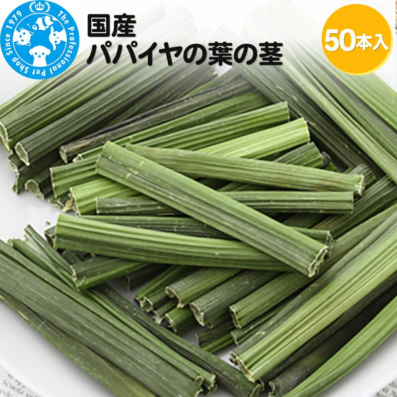 31位! 口コミ数「0件」評価「0」国産 パパイヤの葉の茎 50本入