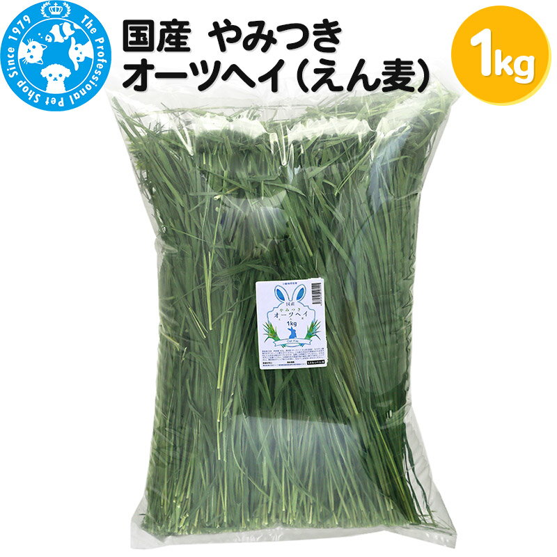 13位! 口コミ数「0件」評価「0」国産 やみつきオーツヘイ（えん麦）1kg