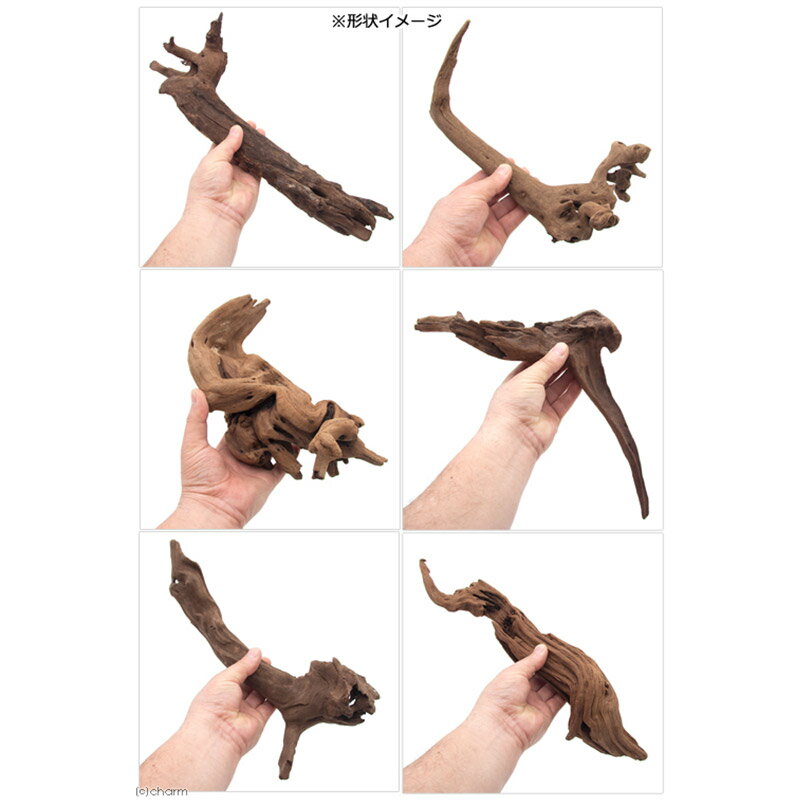 【ふるさと納税】上質流木 雅〜みやび〜 サイズミックス（約25〜40cm）5本