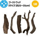 ゴーストウッド Sサイズ（約25～35cm）5本