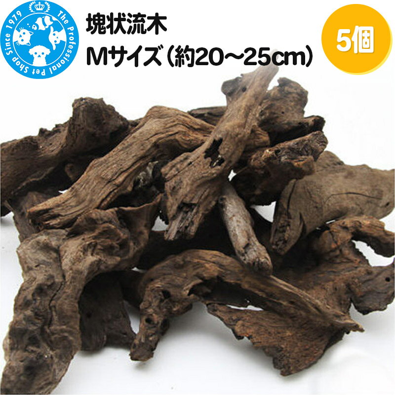 ڤդ뤵Ǽǡ۲ή M2025cm5