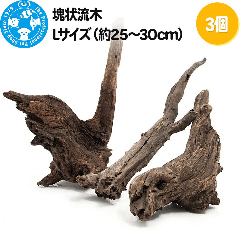 ڤդ뤵Ǽǡ۲ή L2530cm3