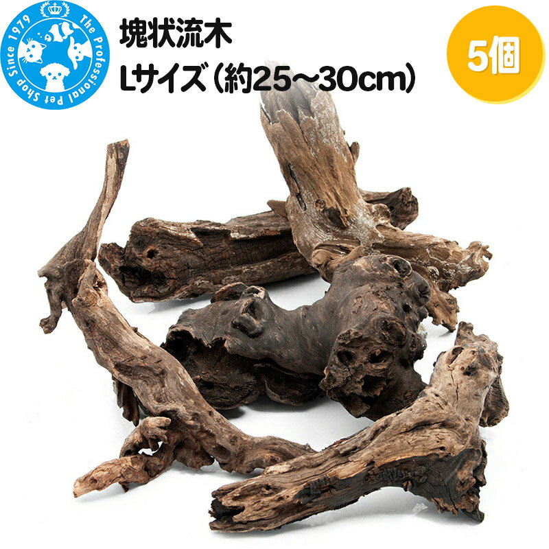 ڤդ뤵Ǽǡ۲ή L2530cm5