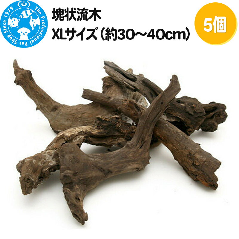 ڤդ뤵Ǽǡ۲ή XL3040cm5