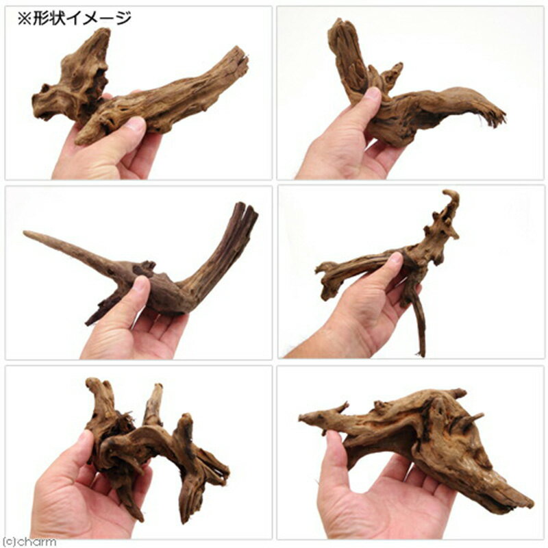 群馬県邑楽町の画像2