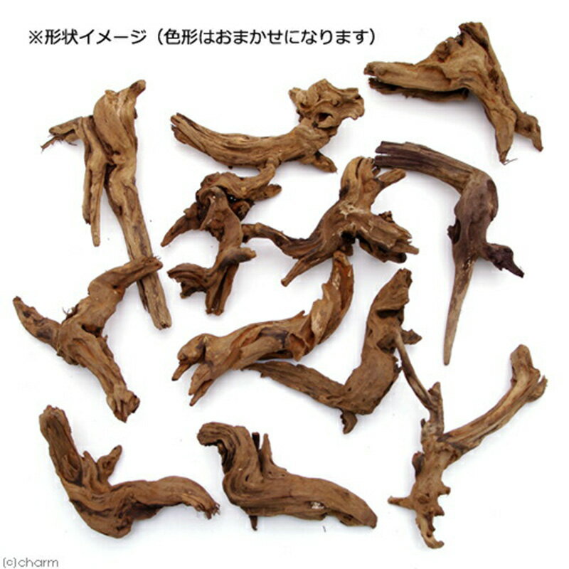群馬県邑楽町の画像3