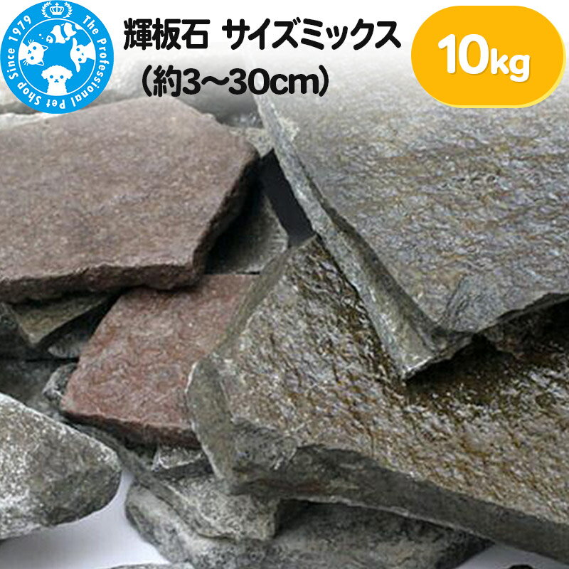 ڤդ뤵Ǽǡ۵ ߥå330cm10kg