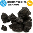 16位! 口コミ数「1件」評価「2」浅間溶岩石 サイズミックス（約5～20cm）5kg