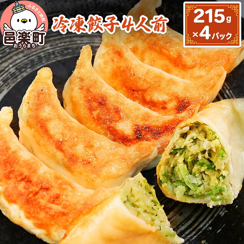 【ふるさと納税】冷凍餃子4人前（計約860g）ギョーザ ぎょうざ 中華 野菜たっぷり モチモチ 食べ応え 群馬県のサムネイル