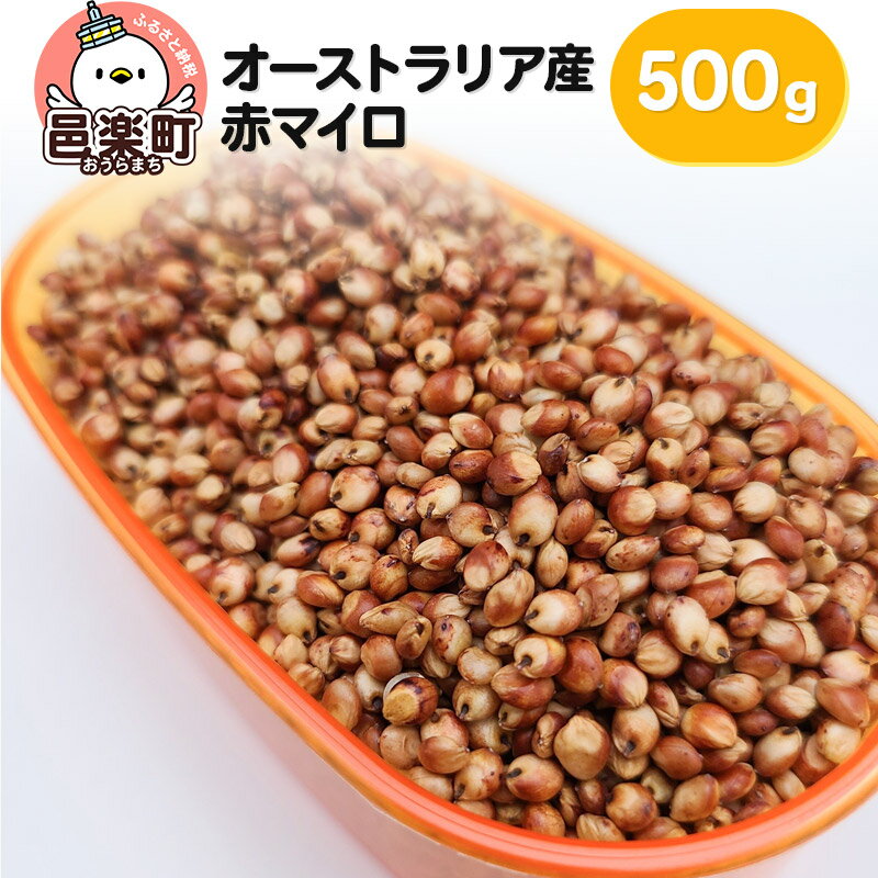 赤マイロ オーストラリア産 500g×1袋 サイトウ・コーポレーション 飼料