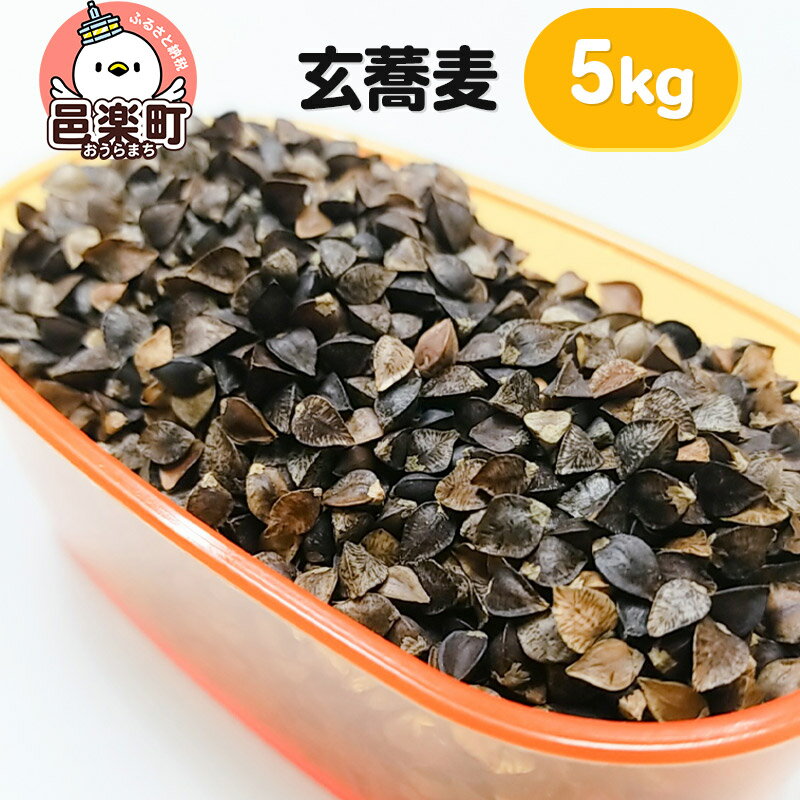 【ふるさと納税】玄蕎麦 5kg×1袋 サイトウ・コーポレーション 飼料