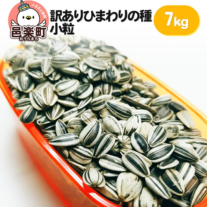 【ふるさと納税】【訳あり】ひまわりの種・小粒 7kg×1箱 ※箱詰め※ サイトウ・コーポレーション 飼料