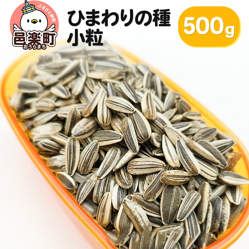 ひまわりの種・小粒 500g×1袋 サイトウ・コーポレーション 飼料