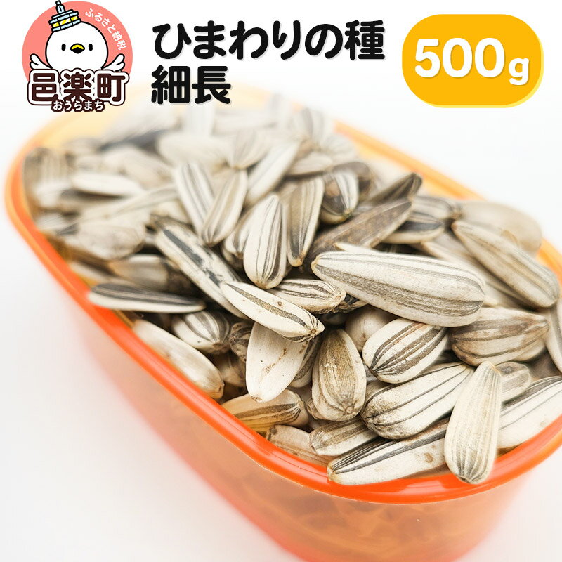 ひまわりの種・細長 500g×1袋 サイトウ・コーポレーション 飼料