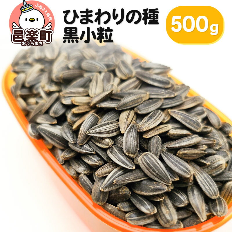 ひまわりの種・黒小粒 500g×1袋 サイトウ・コーポレーション 飼料