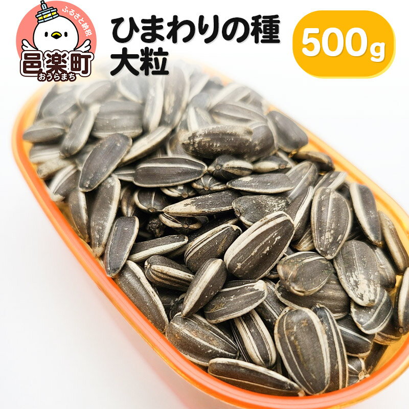 ひまわりの種・大粒 500g×1袋 サイトウ・コーポレーション 飼料