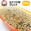 カナリヤ用ブレンド 500g×1袋 サイトウ・コーポレーション 飼料