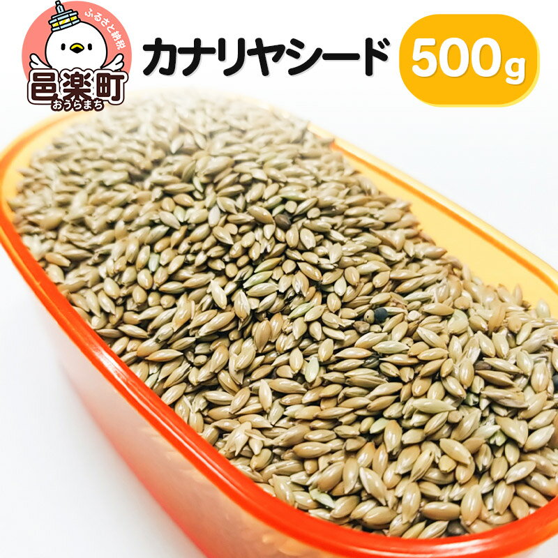 カナリヤシード 500g×1袋 サイトウ・コーポレーション 飼料