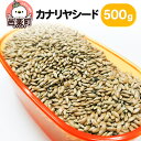 【ふるさと納税】カナリヤシード 500g×1袋 サイトウ・コーポレーション 飼料