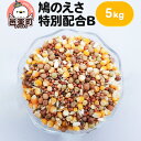 鳩のえさ 特別配合B 5kg×1袋 サイトウ・コーポレーション 飼料