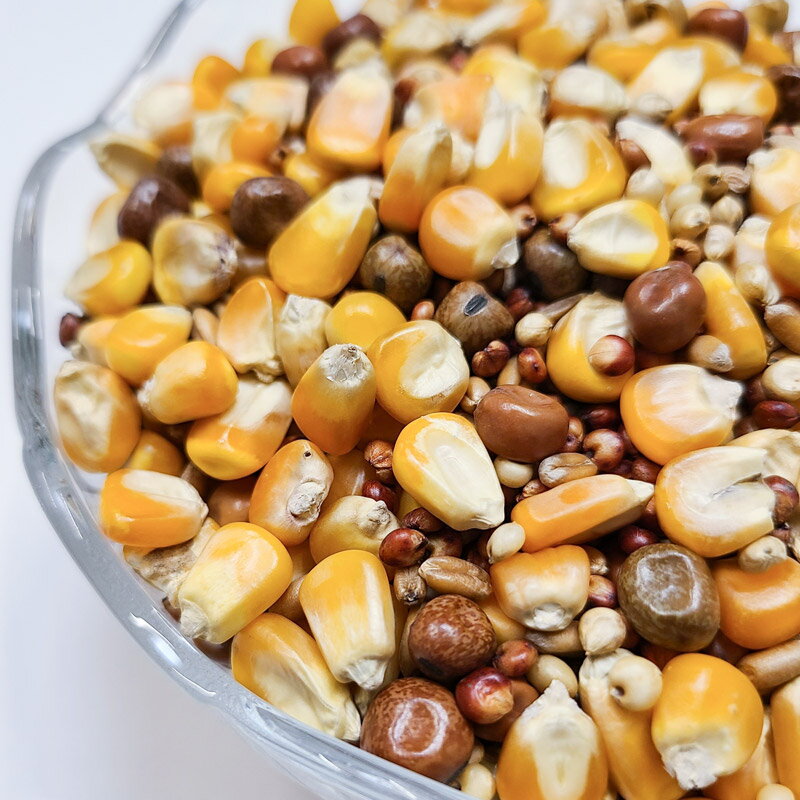 群馬県邑楽町の【ふるさと納税】鳩のえさ 特別配合P 500g×1袋 サイトウ・コーポレーション 飼料｜アングル2