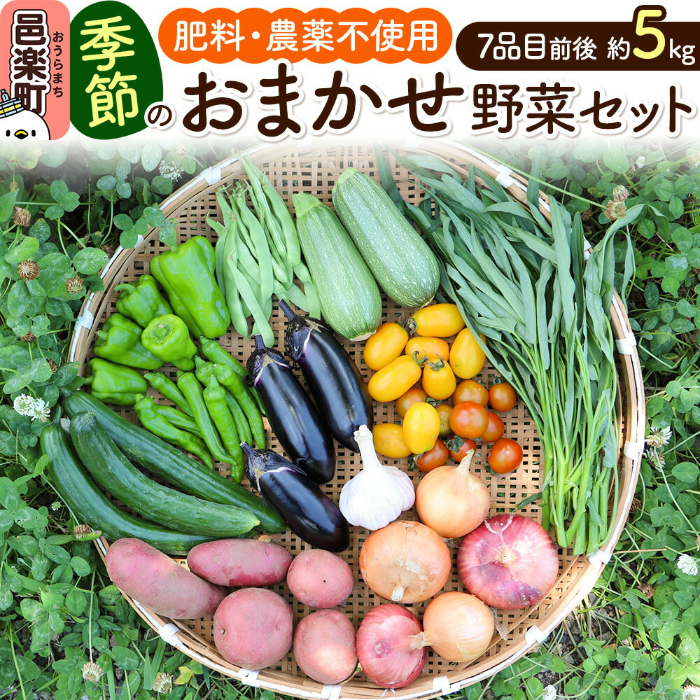 【ふるさと納税】自然栽培 春夏 季節のお任せ野菜セット Lサイズ
