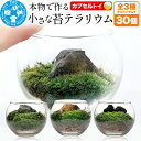 【ふるさと納税】苔 種類おまかせ 本物で作る 小さな苔テラリウム カプセルトイ 30個セット 株式会社チャーム charm