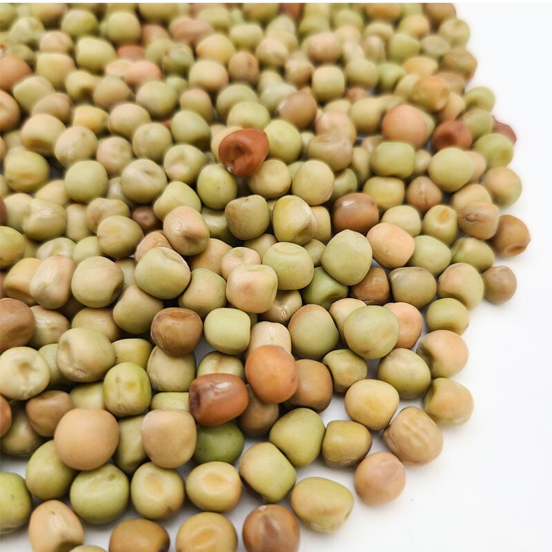 【ふるさと納税】ダンピース 800g×1袋 サイトウ・コーポレーション 飼料