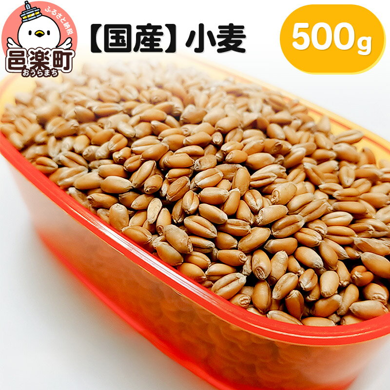 23位! 口コミ数「0件」評価「0」【国産】小麦 500g×1袋 サイトウ・コーポレーション 飼料