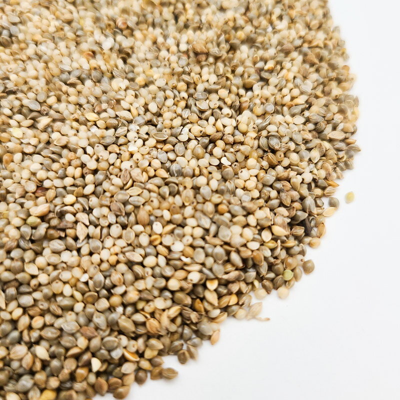 【ふるさと納税】ムキヒエ 500g×1袋 サイトウ・コーポレーション 飼料