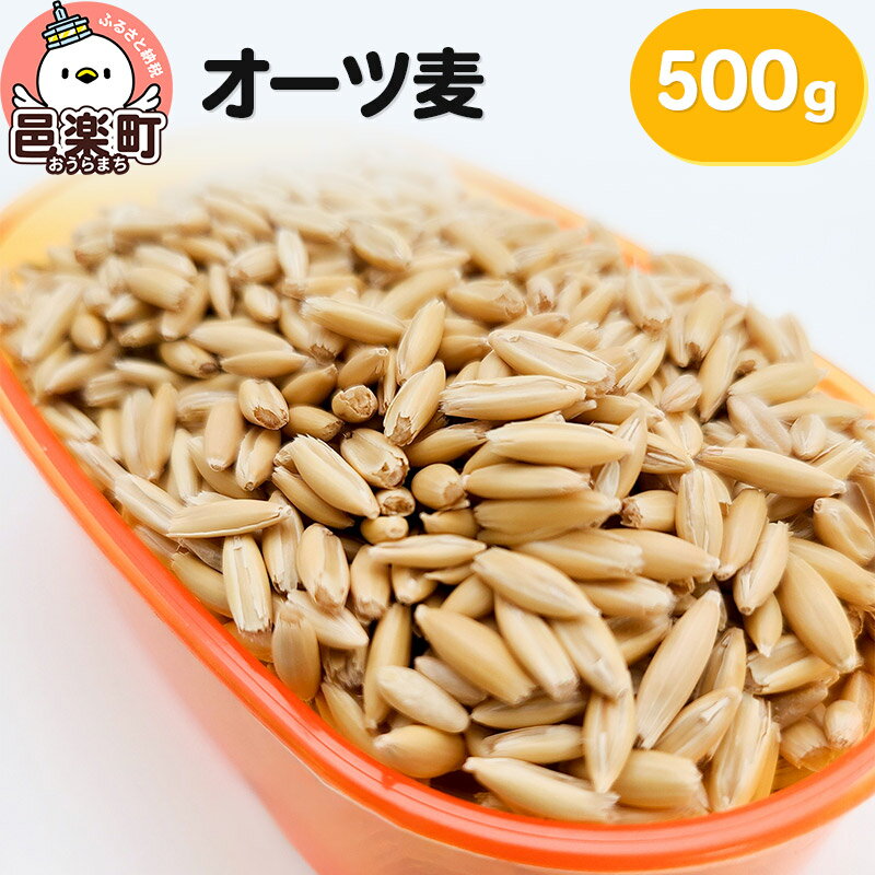 オーツ麦 500g×1袋 サイトウ・コーポレーション 飼料