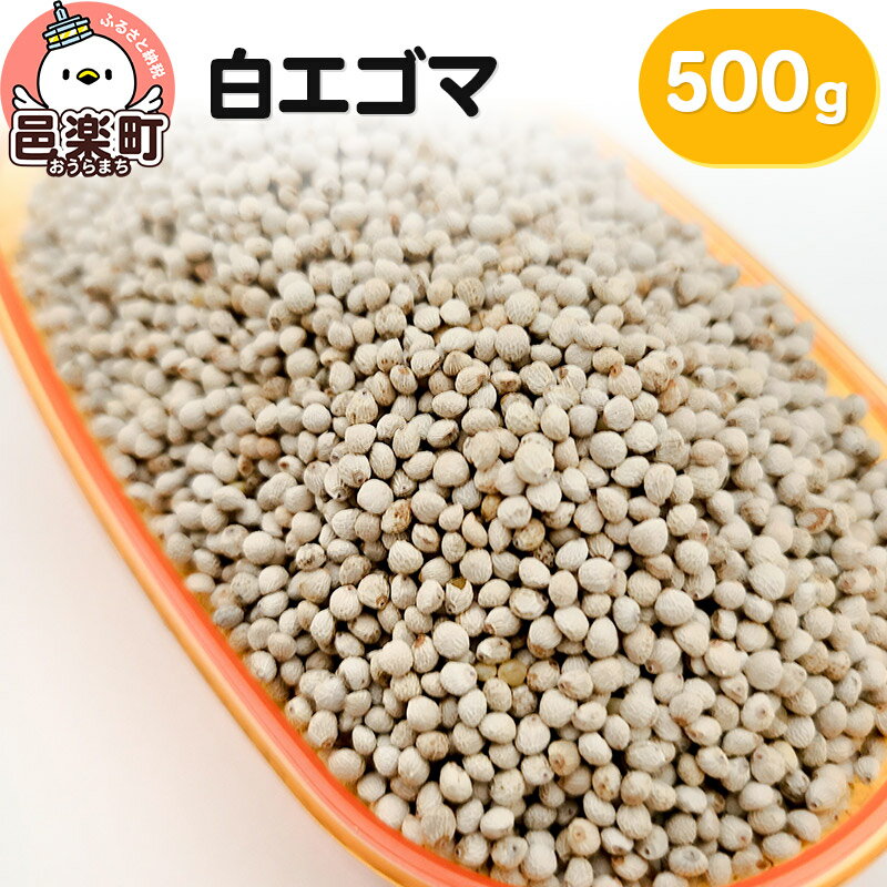 白エゴマ 500g×1袋 サイトウ・コーポレーション 飼料