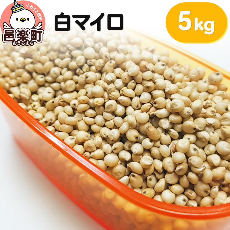 【ふるさと納税】白マイロ 5kg×1袋 サイトウ・コーポレーション 飼料