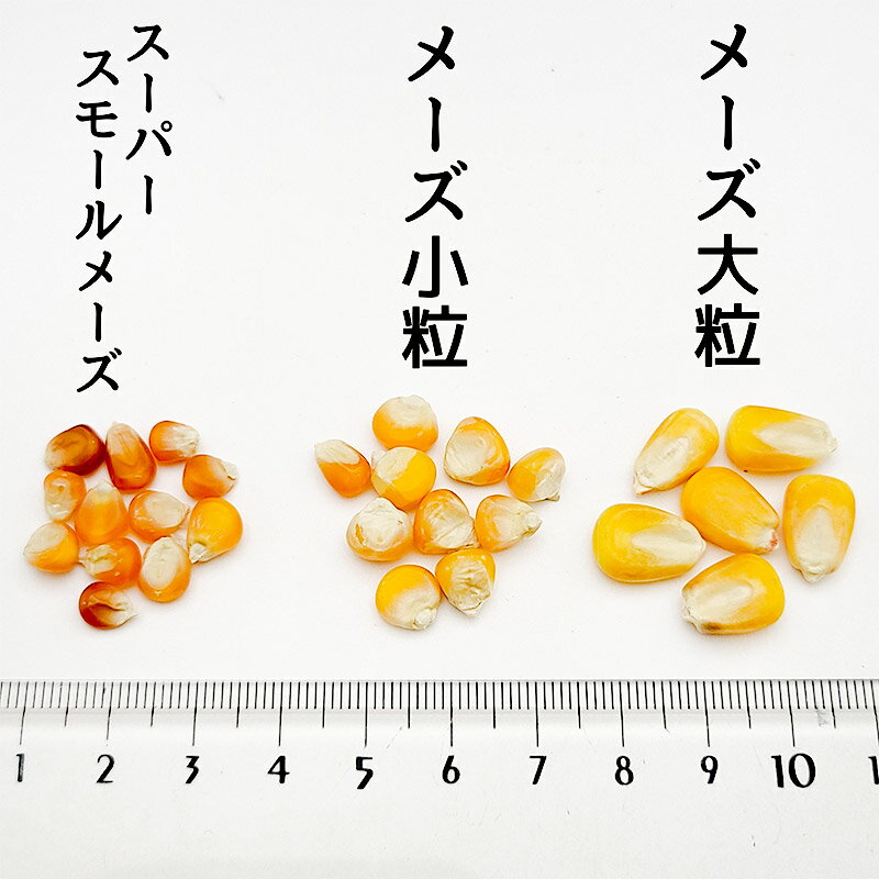 【ふるさと納税】スーパースモールメーズ 10kg×1袋 サイトウ・コーポレーション 飼料