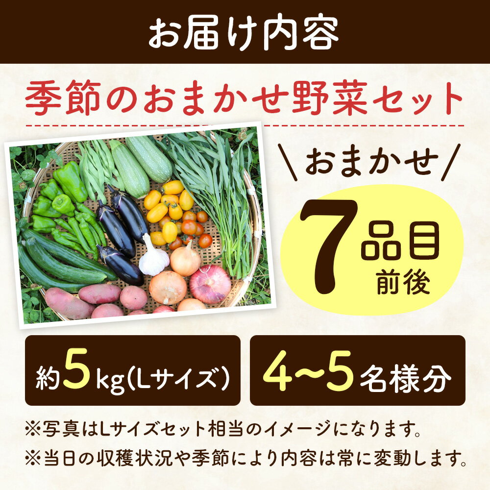 【ふるさと納税】自然栽培 春夏 季節のお任せ野菜セット Lサイズ