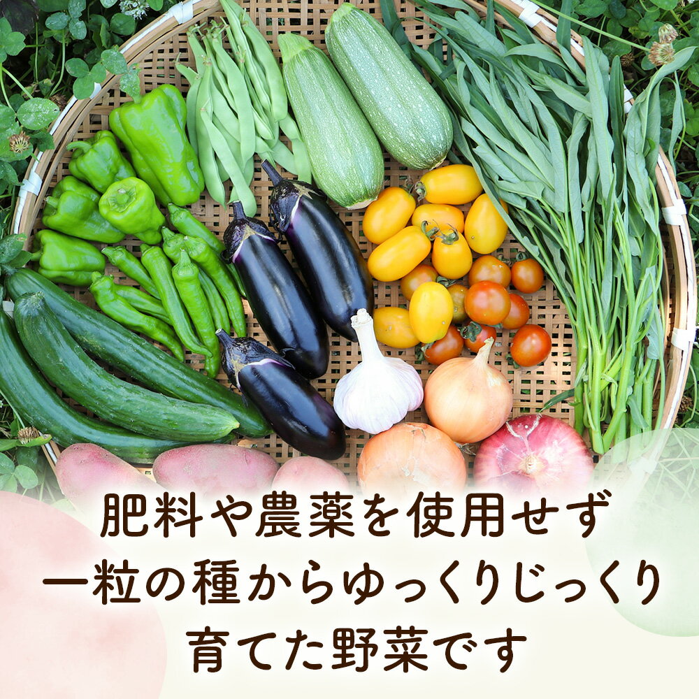 【ふるさと納税】自然栽培 春夏 季節のお任せ野菜セット Lサイズ