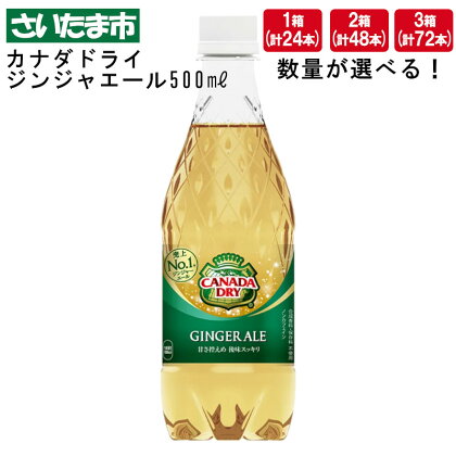 カナダドライ ジンジャーエール 500mlPET 24本 1箱 2箱 3箱　【11100-0569～571】 12L 24L 36L 炭酸飲料 ミキサー ジンジャエール ペットボトル コカコーラ 埼玉県 さいたま市 送料無料 ギフト プレゼント