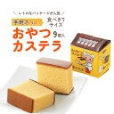 【ふるさと納税】おやつカステラ 9個入 【11100-0640】 文明堂 カステラ ギフト 埼玉県 さいたま市