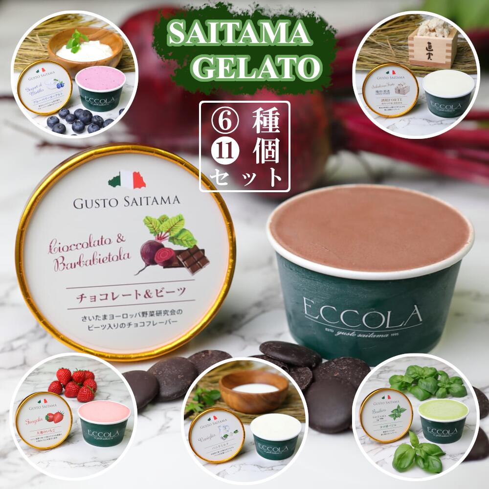 【ふるさと納税】SAITAMA GELATO　11個セット　＃ ジェラート バニラ チョコレート ビーツ 苺 いちご ストロベリー ブルーベリー ヨーグルト バジル 酒粕 アイス ヨーロッパ野菜 ヨーロッパ野菜研究会 埼玉県 さいたま市 ノースコーポレーション 【11100-0175】