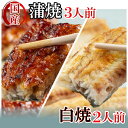 国産うなぎ蒲焼3人前＋白焼2人前セット　＃ うなぎ 国産 鰻 ウナギ 蒲焼 白焼 土用 丑の日 ニホンウナギ 紀州備長炭 ふわとろ 秘伝のタレ 浦和のうなぎ 浦和のうなぎを育てる会 埼玉県 さいたま市 浦和 満寿家