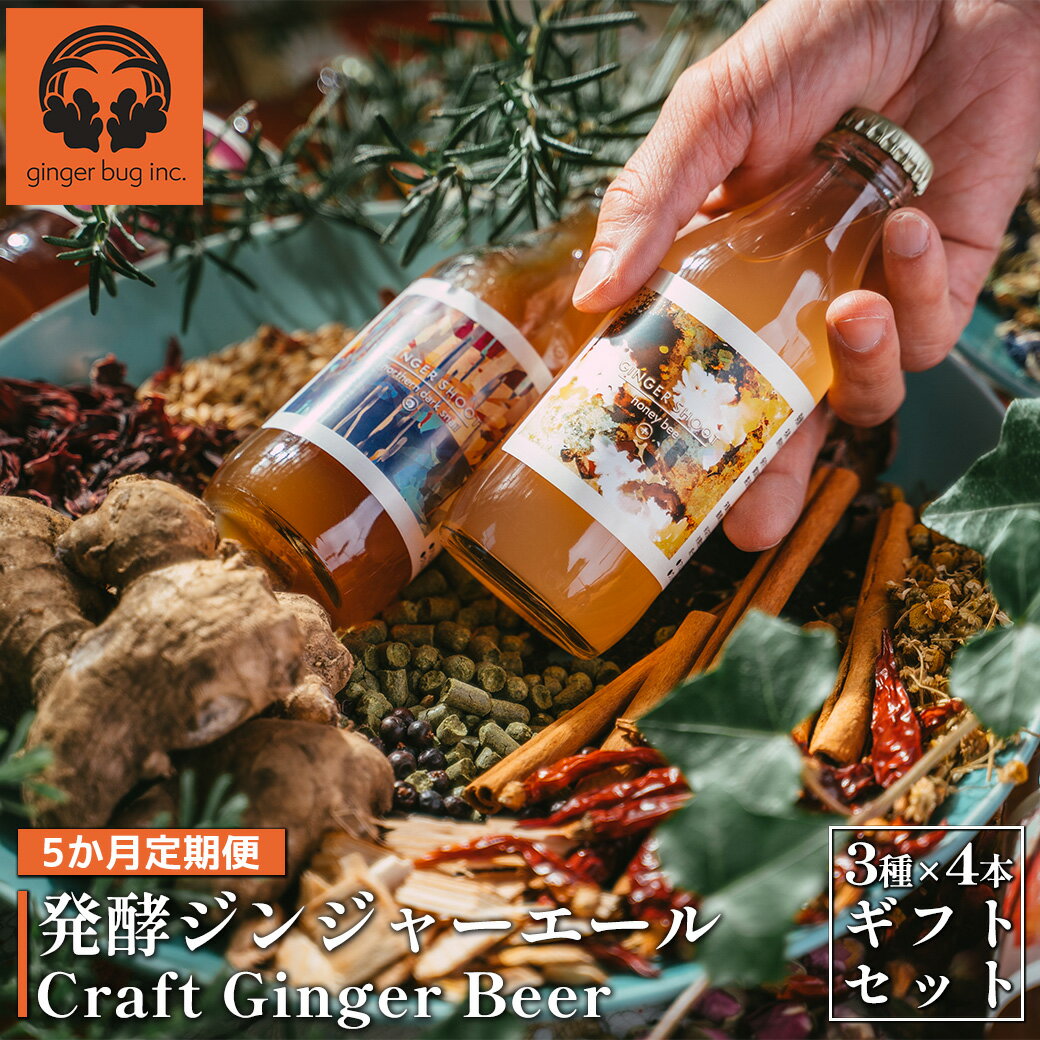 【ふるさと納税】【5か月定期便】発酵ジンジャーエール<3種×4本>×5回 【11100-0182】 12本 3種セット 定期便 合計 60本 200ml 炭酸 ...
