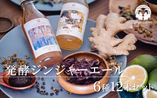 7位! 口コミ数「0件」評価「0」発酵ジンジャーエール12本セット 炭酸 ドリンク 飲料 飲み物 生姜 さいたま市 【11100-0180】