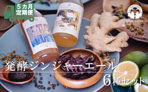 【ふるさと納税】【5か月定期便】発酵ジンジャーエール　6本×5回 炭酸 ドリンク 飲料 飲み物 生姜 さ...