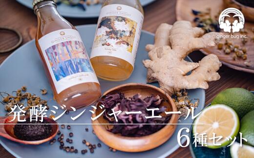 【ふるさと納税】発酵ジンジャーエール6種ギフトセット 炭酸 ドリンク 飲料 飲み物 生姜 さいたま市 ...