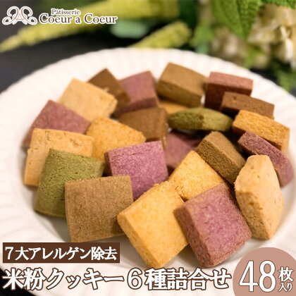 パティスリークーラクー ｜ 7大アレルゲン除去米粉クッキー　12袋　【11100-0366】 植物性食品 アレルギー 食事制限 スイーツ 厳選素材 米粉 埼玉県産 彩 厳選材料 ギフト 詰め合わせ 詰合せ 送料無料 埼玉県 さいたま市