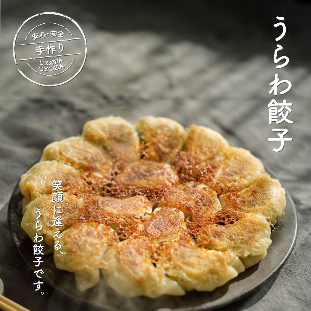 うらわ餃子 生餃子 レギュラー しそ バジル&チーズ 旨辛 惣菜 レトルト ご飯 お弁当 冷凍 送料無料[11100-0724-733]