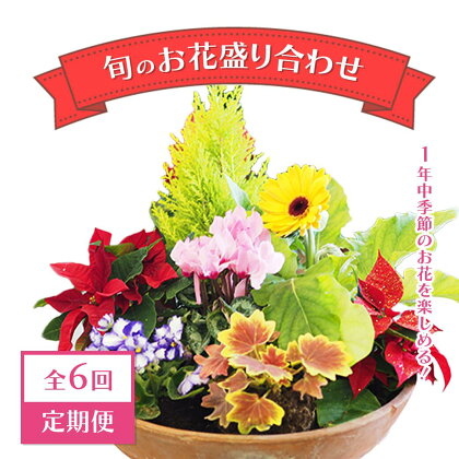 【全6回定期便】1年中季節のお花が楽しめる！旬のお花盛り合わせ（2か月に1回お届け）　【11100-0735】