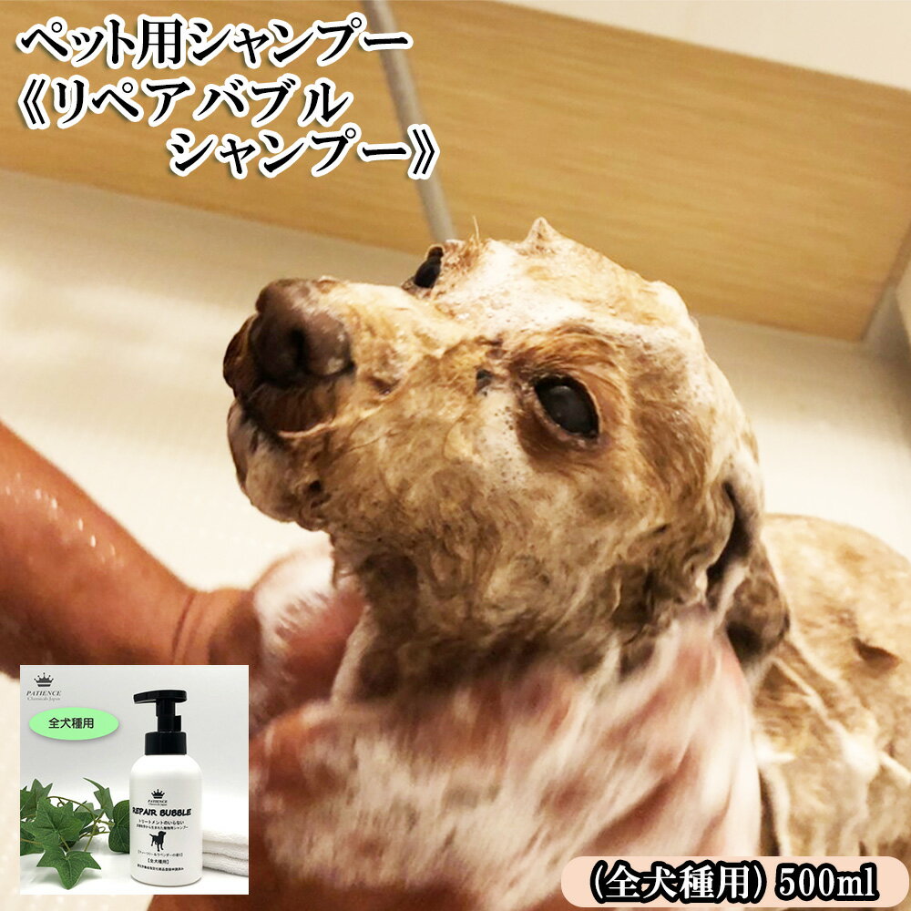 犬用品(その他)人気ランク19位　口コミ数「0件」評価「0」「【ふるさと納税】ペット用シャンプー《リペアバブルシャンプー》500ml (全犬種用)　【11100-0721】」